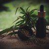 What are the benefits of CBD?