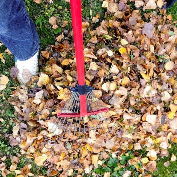 Eco Garden in November