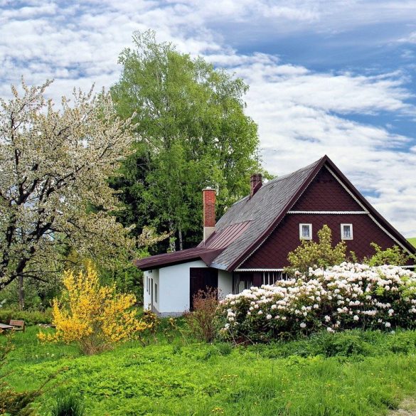 Affordable Ideas to Transform Your Garden