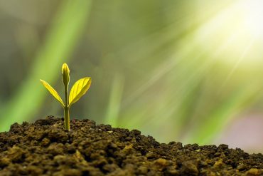3 Dynamic Ways to Grow Your Small Business