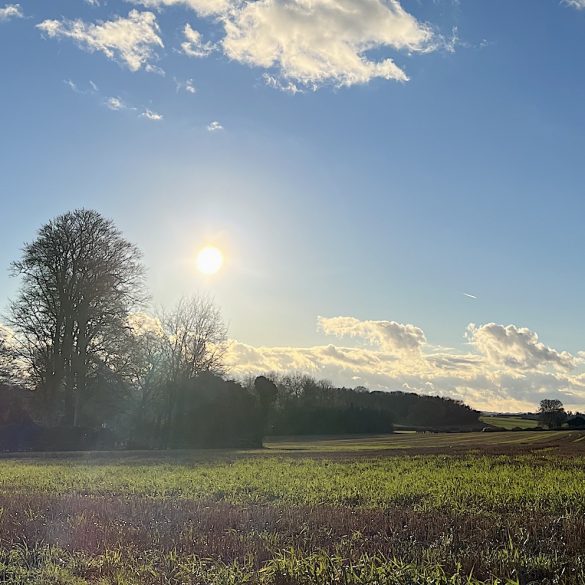 Sunlight and Acne: What You Need to Know