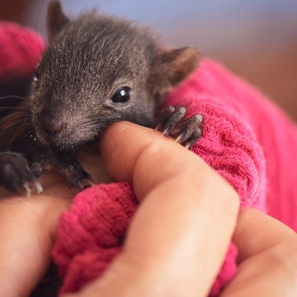 Fun Activities To Do With Your Teens