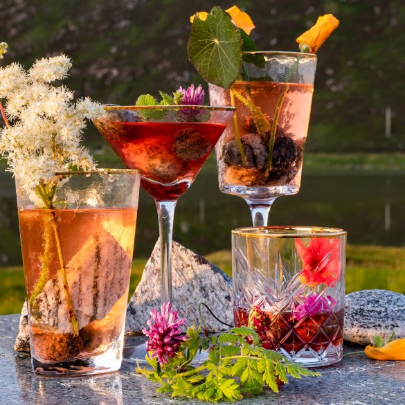 Introducing Wild Eve Recipe, no 1