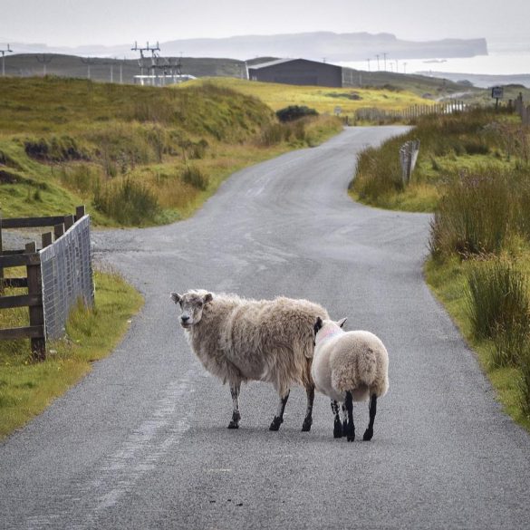 The UK’s Best Campervan Holiday Destinations