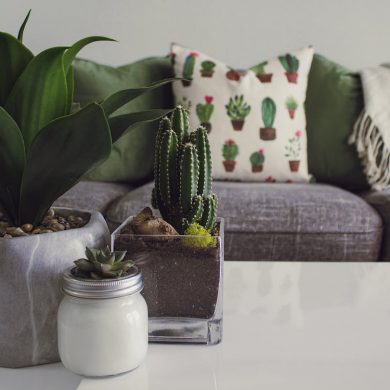 7 Ways to Accessorize Your Home with Plants