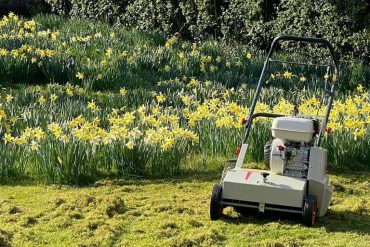 Work with Nature, not against it, for Better Lawn Care