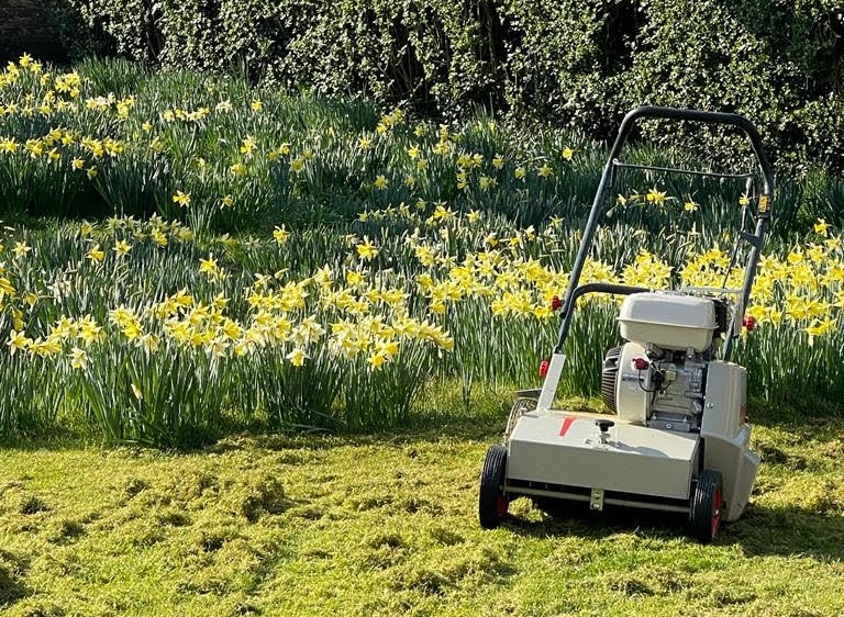 Work with Nature, not against it, for Better Lawn Care