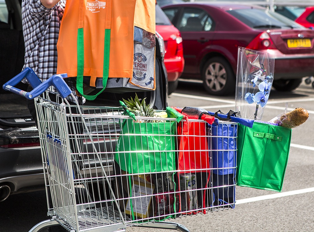 Organise Shopping with Trolley Bags