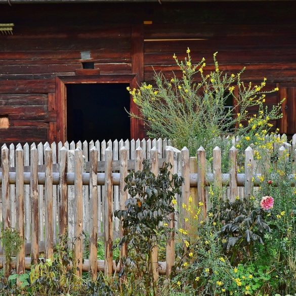 Garden Designs for Each Zodiac Sign
