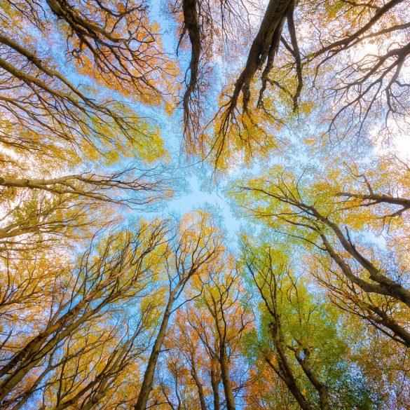 The Autumn Equinox