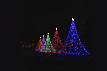 Brighten up Winter Nights looking at Vibrant Lights