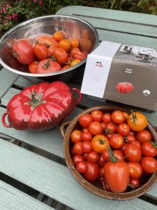 Tomato Heaven (from your own garden!)