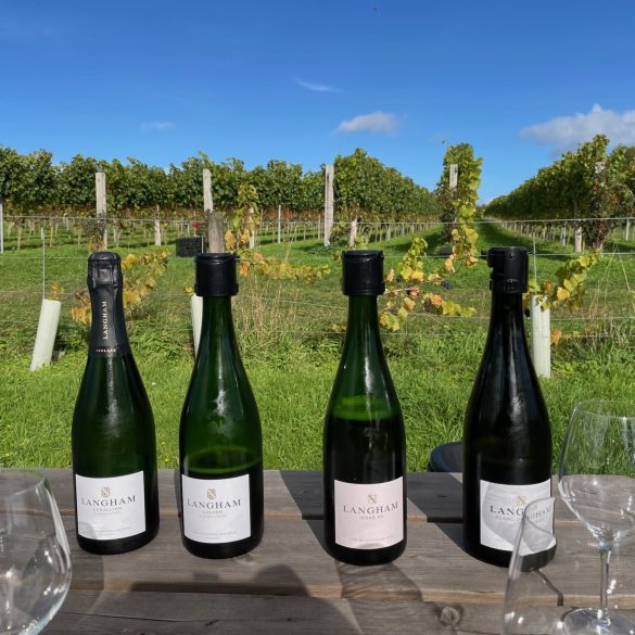 A Vine Romance in Rural Dorset