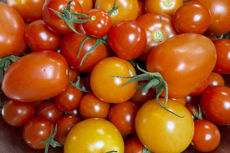 Tomato Heaven (from your own garden!)