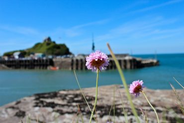 Weird And Wonderful Things to Do in Ilfracombe