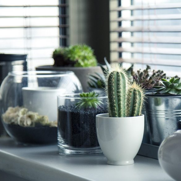 Budget Ways to Decorate Your Home
