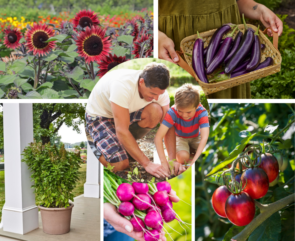 Bring Gardening Joy to Your Dad this Father's Day!