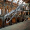 Hidden Gems: Uncovering Lesser-Known Museums in the United Kingdom