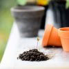 How can Gardening Improve your Health?