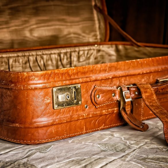 How to Prevent Bed Bugs Coming into Your Home After Travelling...