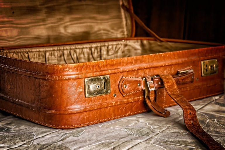 How to Prevent Bed Bugs Coming into Your Home After Travelling...