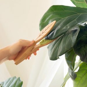 Indoor Plant Care with Kikkerland