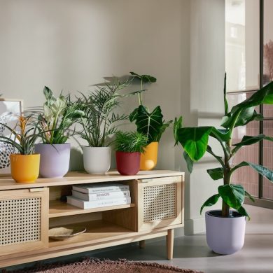 Jazz up your interiors with elho’s new jazz round plant pot collection