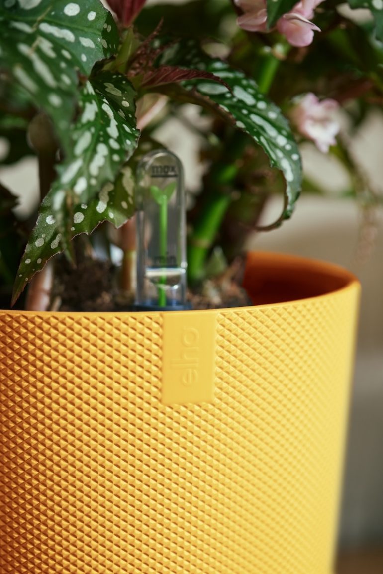 Jazz up your interiors with elho’s new jazz round plant pot collection ...