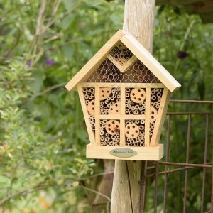 Create a garden buzzing with bees, bugs and butterflies!