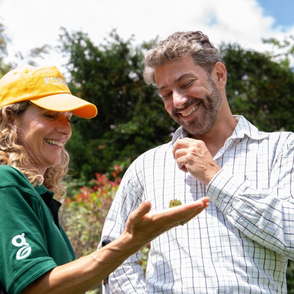 Gardening for the mind