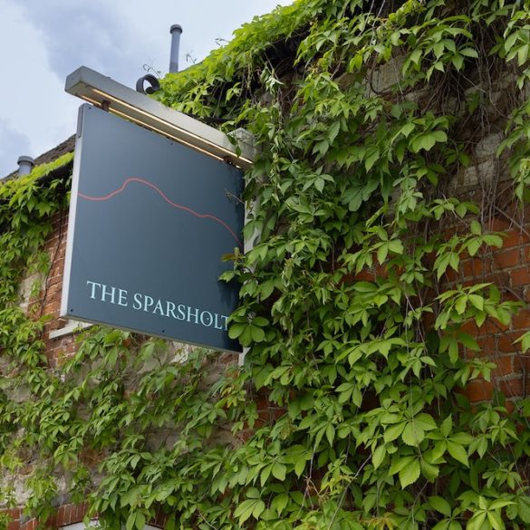 The Sparsholt - A Splendid Day Out