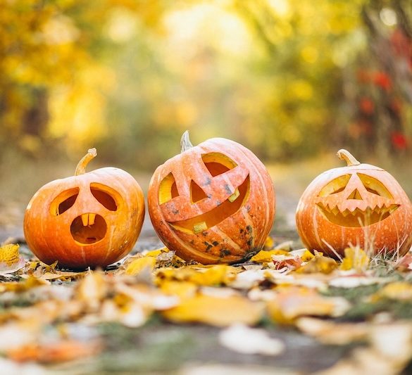 Spooky Fun with So Slime Gooblins