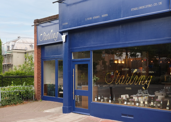 Starling - this one will soar!