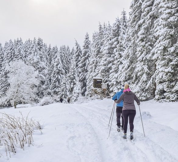 Why Skiing in France Should Be on Your Holiday Wish List