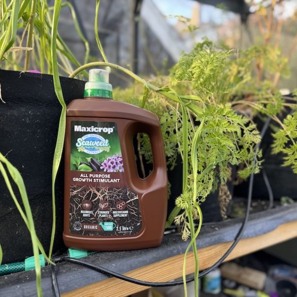 Unlocking Your Garden’s Full Potential with Maxicrop