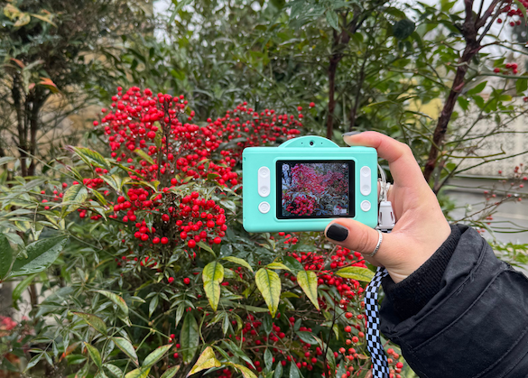 Photo Creator Pop Colour Digital Camera