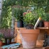 The Perfect Mother’s Day Gifts for Gardening Mums
