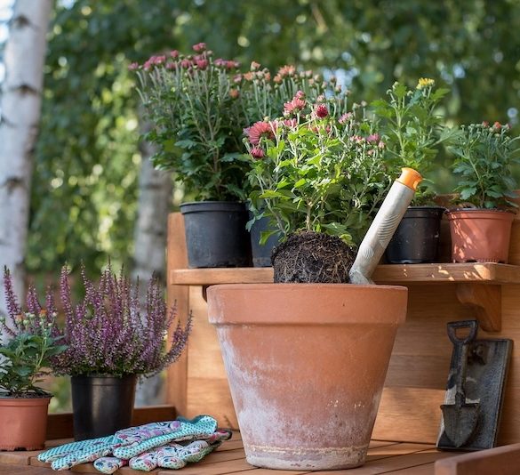 The Perfect Mother’s Day Gifts for Gardening Mums