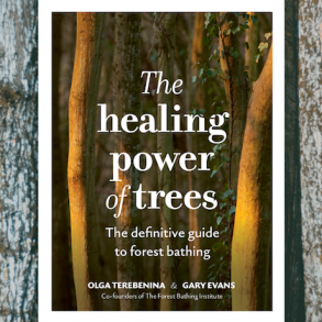 My Journey with The Healing Power of Trees