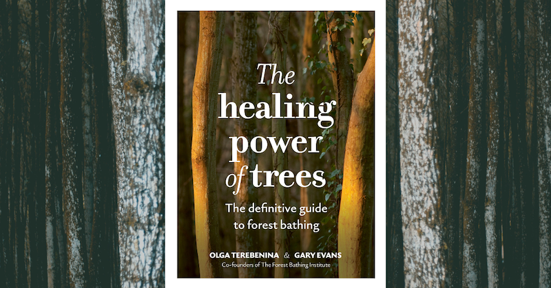 My Journey with The Healing Power of Trees