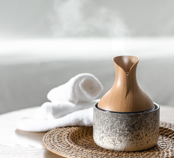 Comprehensive Guide to Humidifier Benefits and Functions