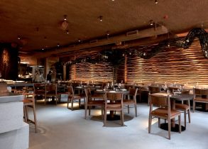 Oh Moi! What an Experience