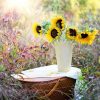 How Fresh Flowers Can Brighten Your Mind and Boost Your Mood