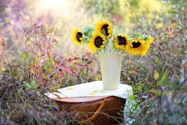 How Fresh Flowers Can Brighten Your Mind and Boost Your Mood