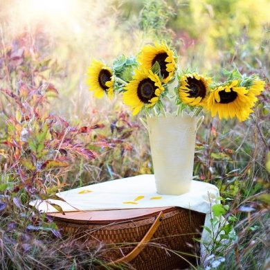 How Fresh Flowers Can Brighten Your Mind and Boost Your Mood