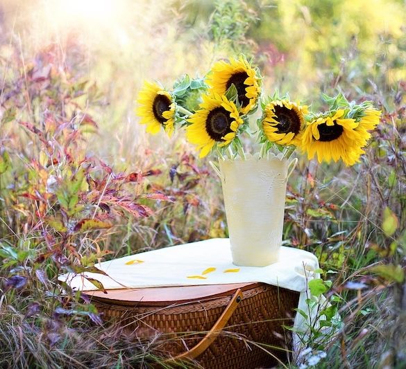 How Fresh Flowers Can Brighten Your Mind and Boost Your Mood
