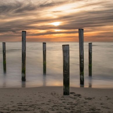 The Importance of Calm in Our Busy Lives