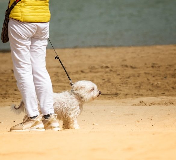 Why a Little Exercise Every Day Can Help Keep Pain at Bay