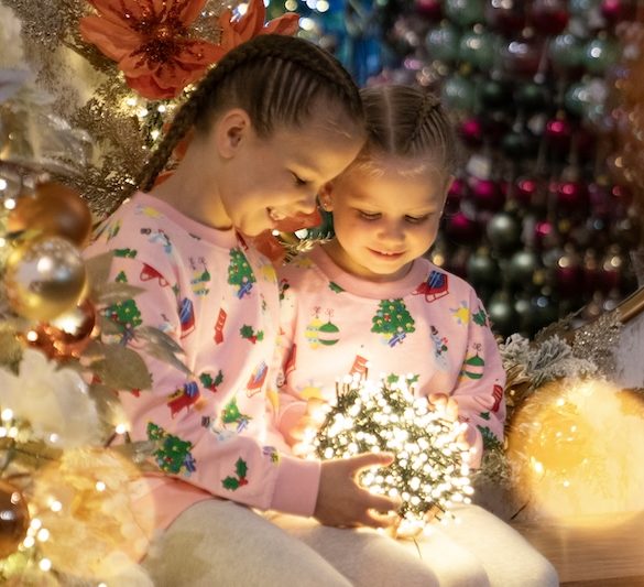 From Glam to Gingerbread: Christmas Themes to Suit Every Style