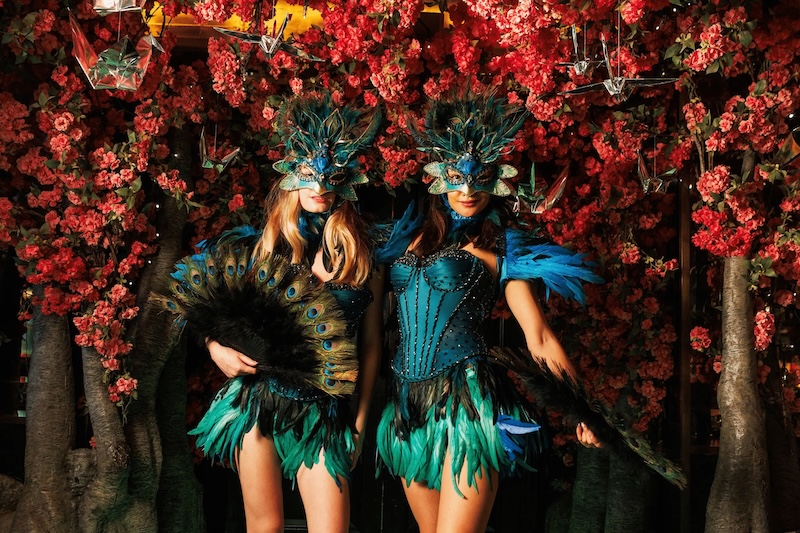 Stepping Away from the Stove